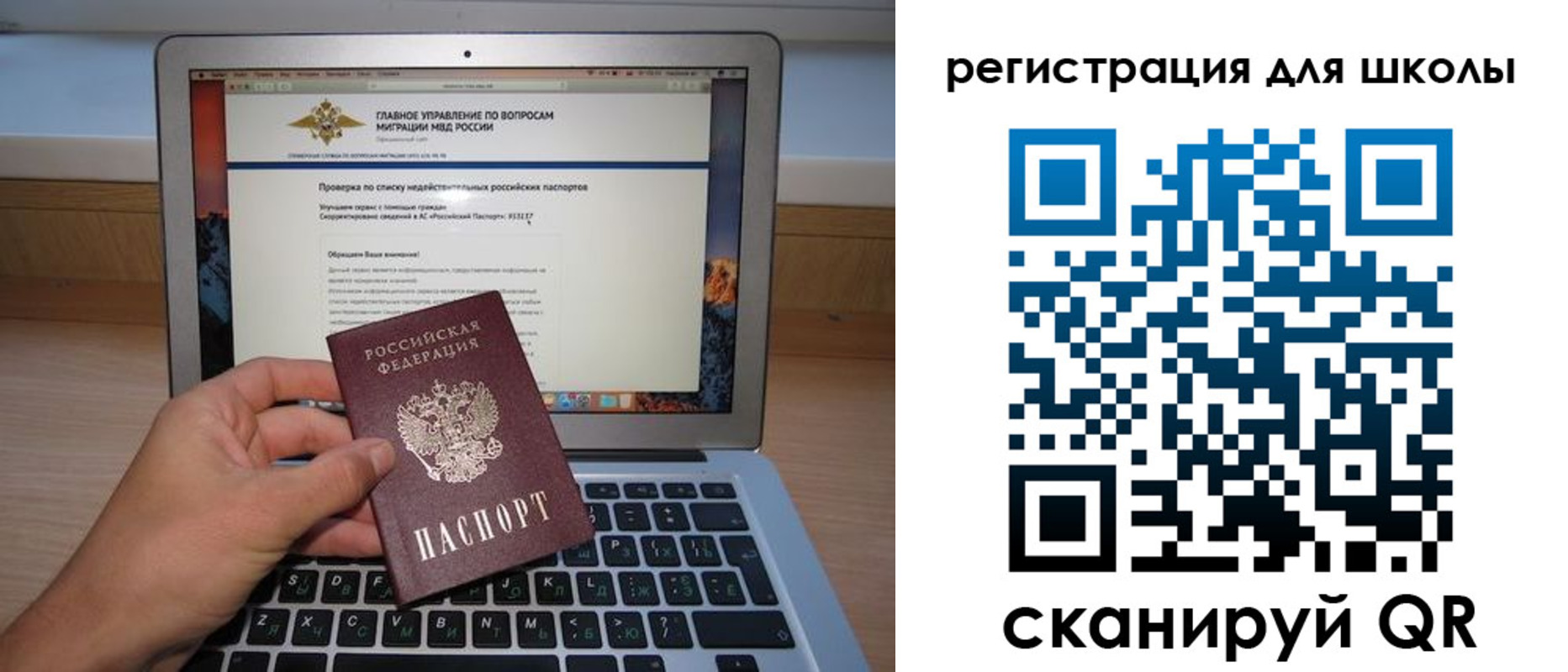 прописка поиск в Светлом